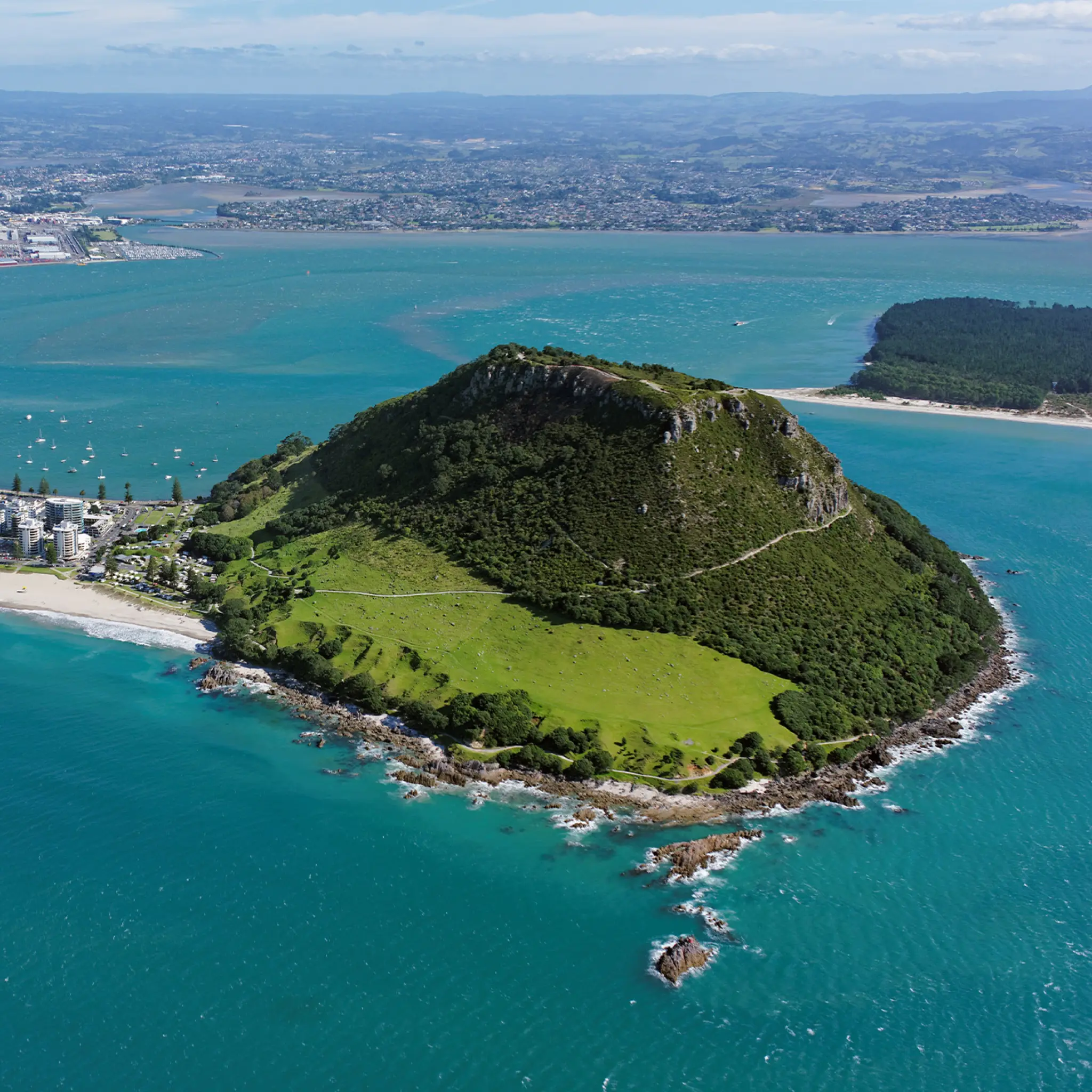 Te Paeroa Road,
Tauranga