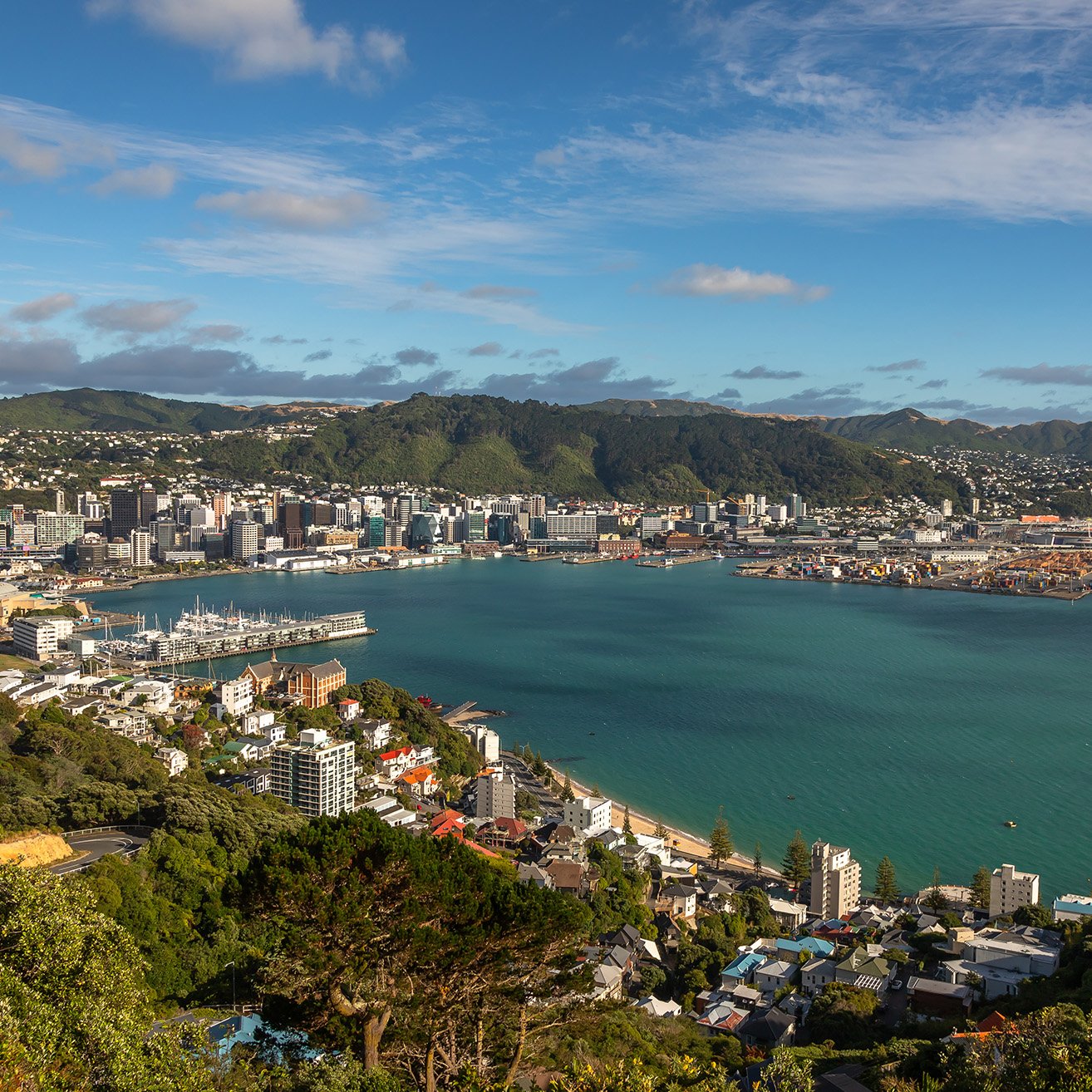 Te Toi Mahana Demand & Needs Assessment