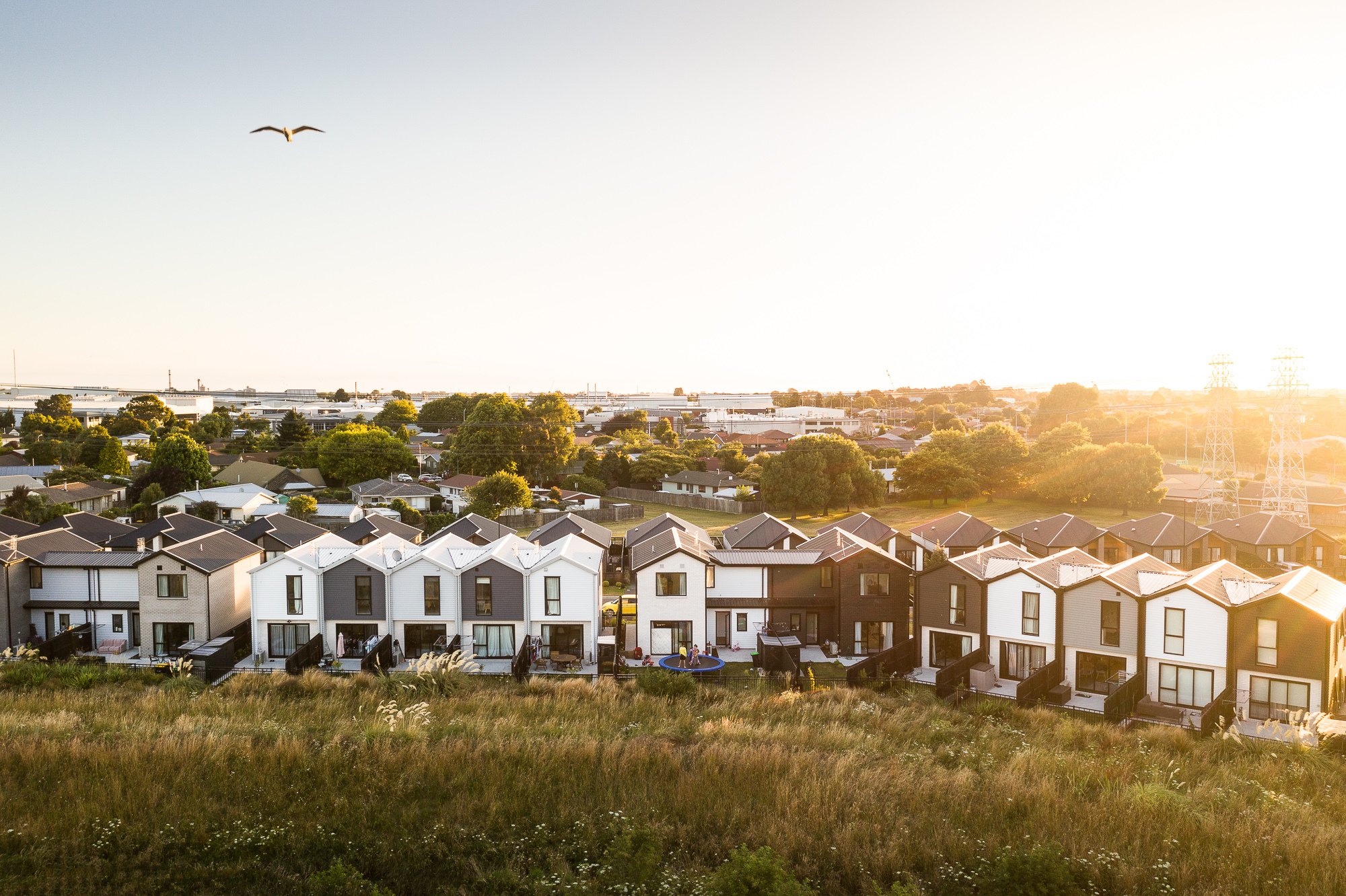 Housing Development
