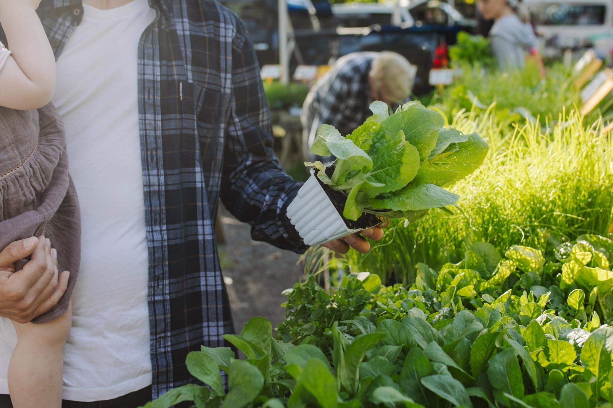 Man and child, plant