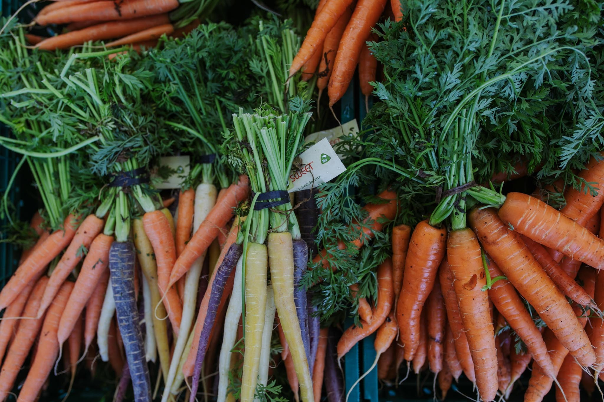Carrots