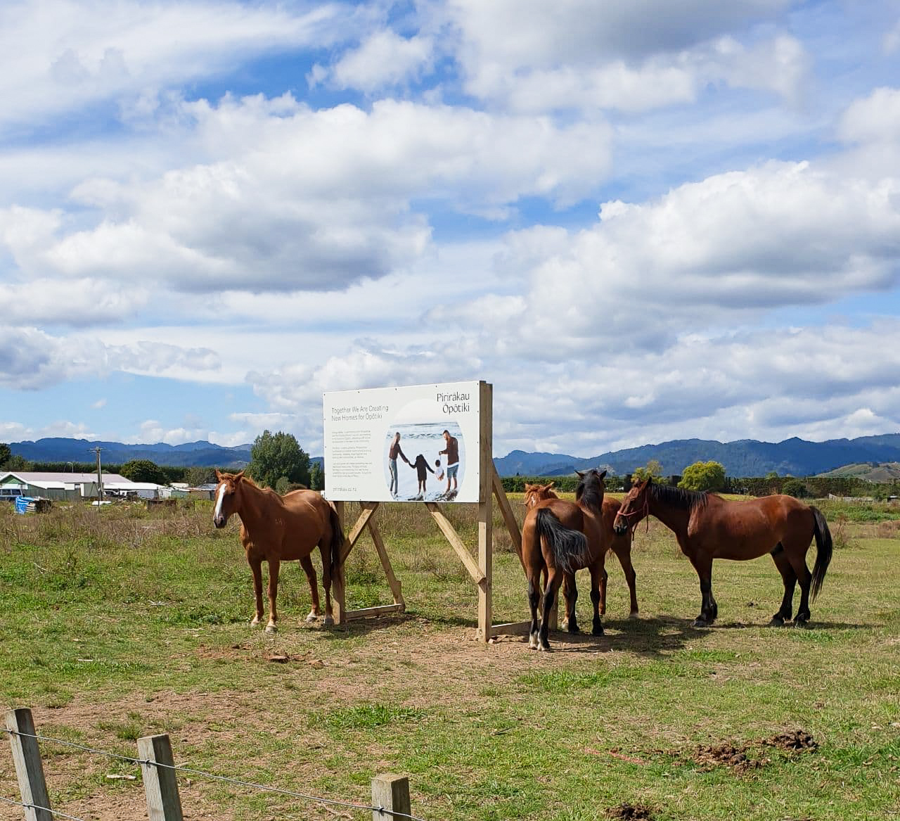 Kāinga Maha project site