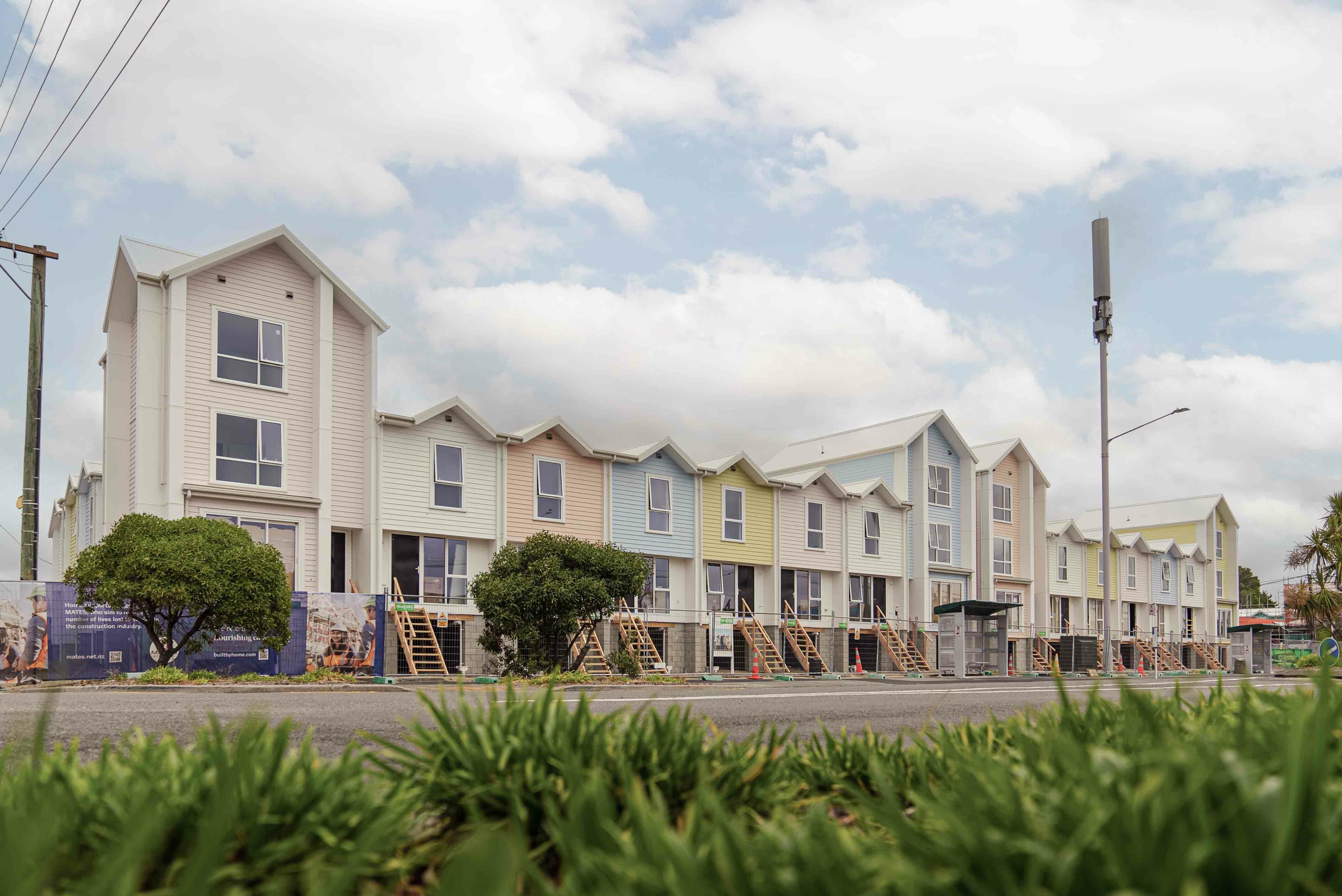 Te Pākau Maru site - November 2024